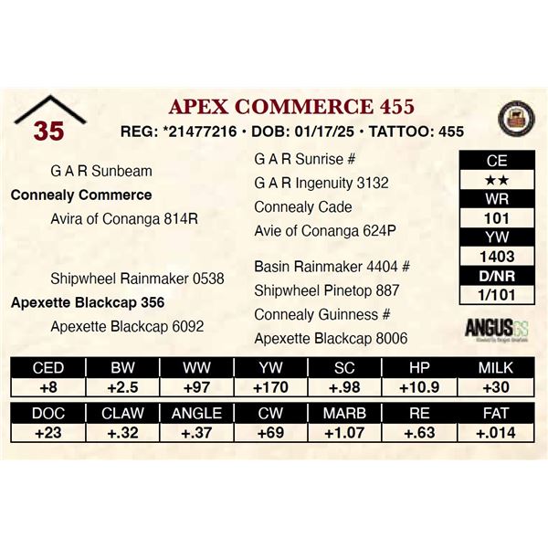 Apex Commerce 455