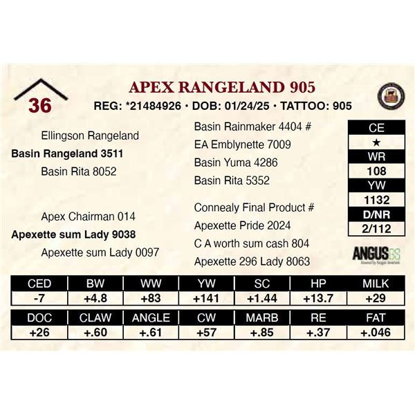 Apex Rangeland 905