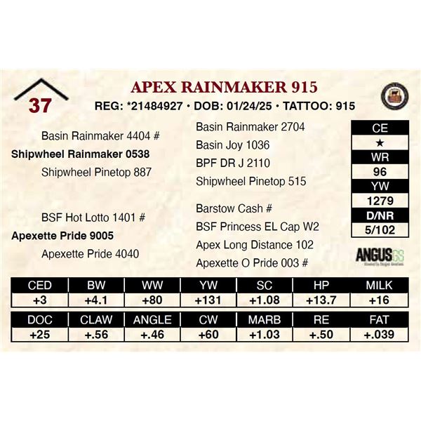 Apex Rainmaker 915