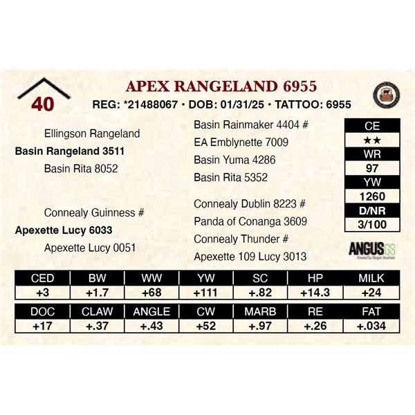 Apex Rangeland 6955