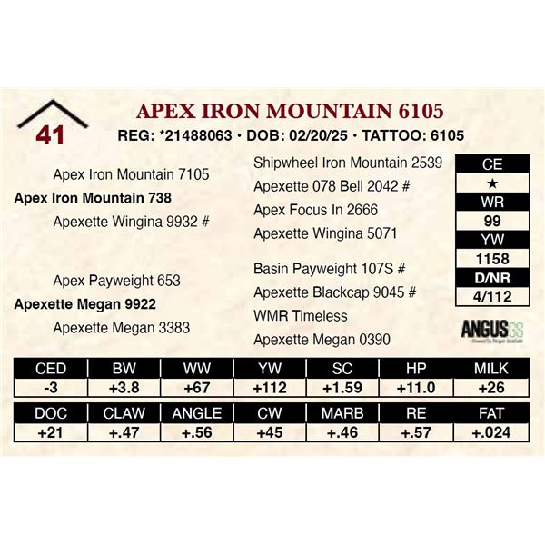 Apex Iron Mountain 6105