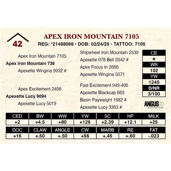 Apex Iron Mountain 7105