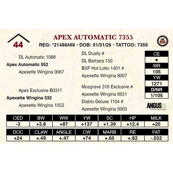 Apex Automatic 7355