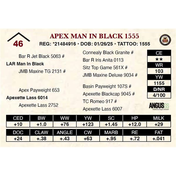 Apex Man In Black 1555