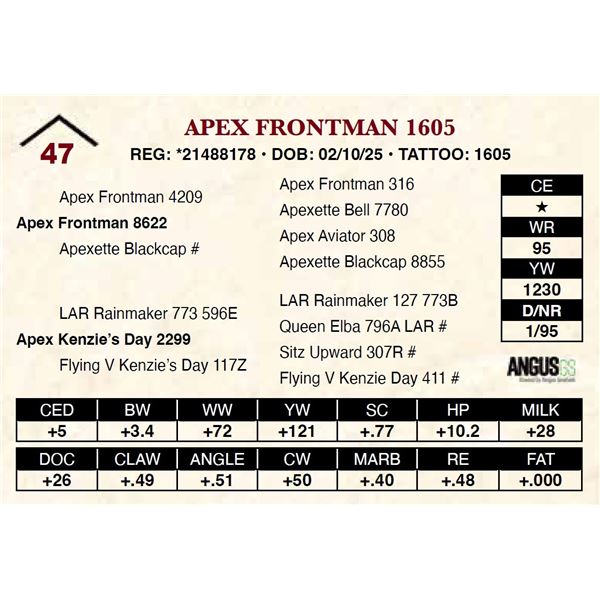 Apex Frontman 1605