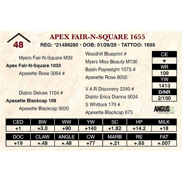 Apex Fair-N-Square 1655