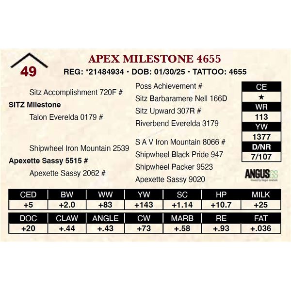 Apex MIlestone 4655