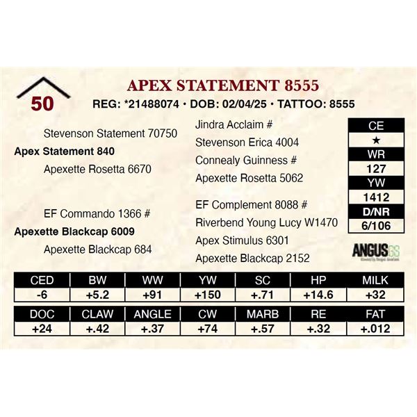Apex Statement 8555