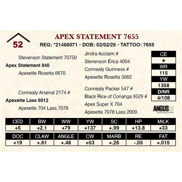Apex Statement 7655