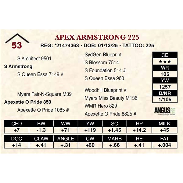 Apex Armstrong 225
