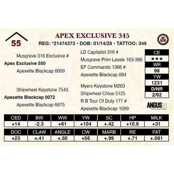 Apex Exclusive 345