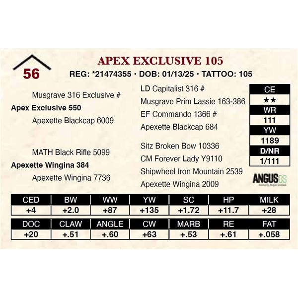 Apex Exclusive 105