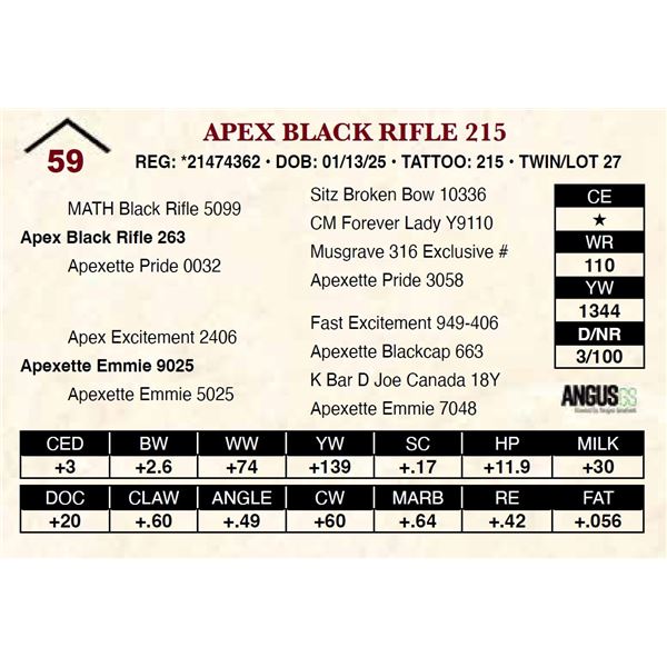 Apex Black Rifle 215