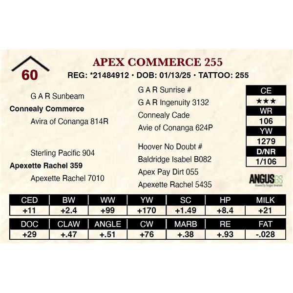 Apex Commerce 255