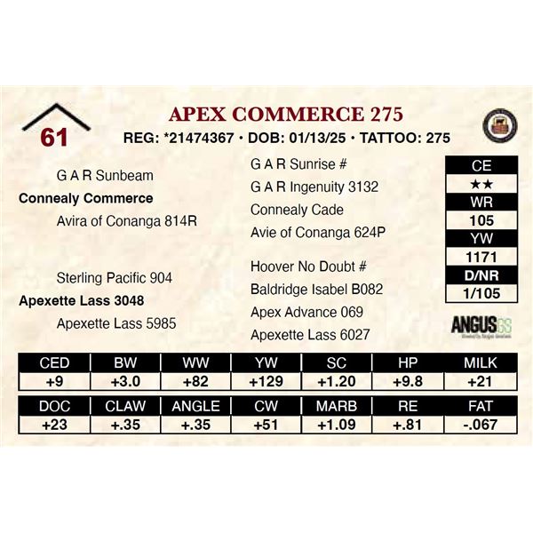 Apex Commerce 275