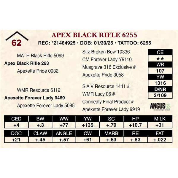 Apex Black Rifle 6255
