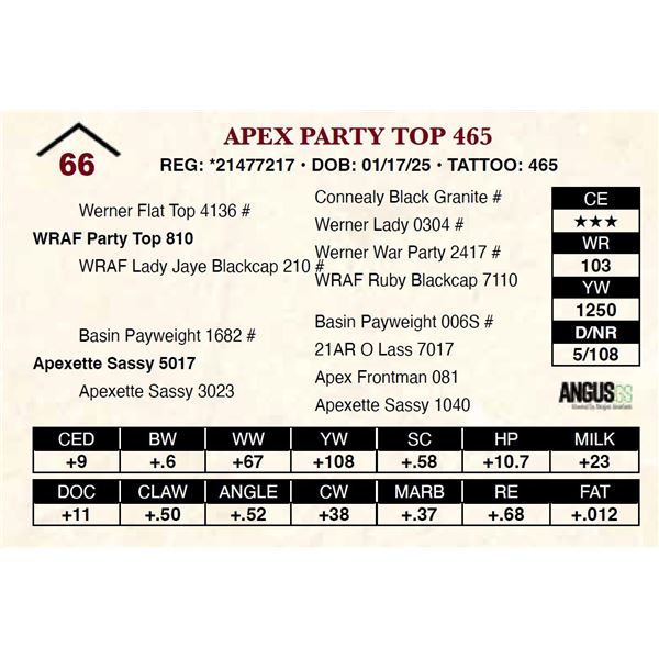 Apex Party Top 465