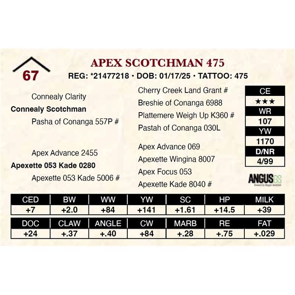 Apex Scotchman 475