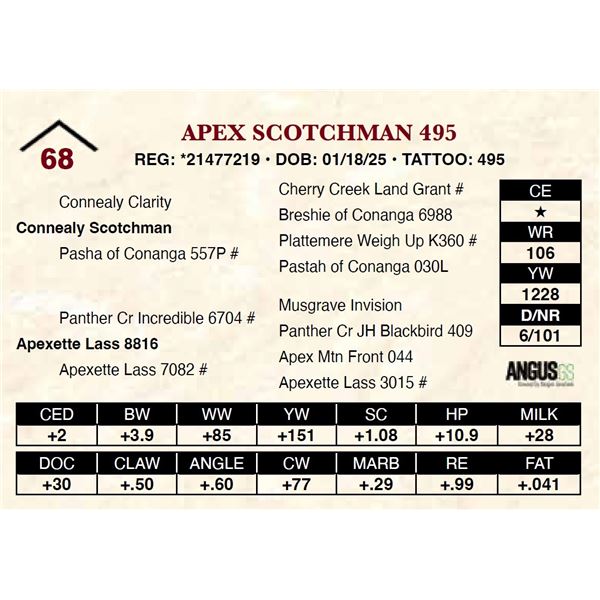Apex Scotchman 495
