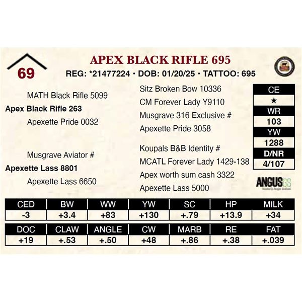 Apex Black Rifle 695