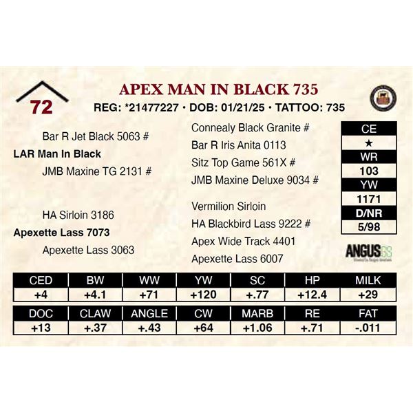 Apex Man In Black 735