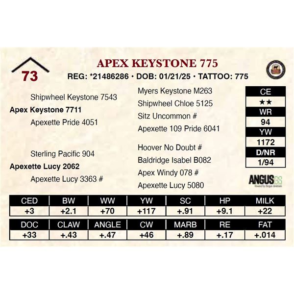 Apex Keystone 775
