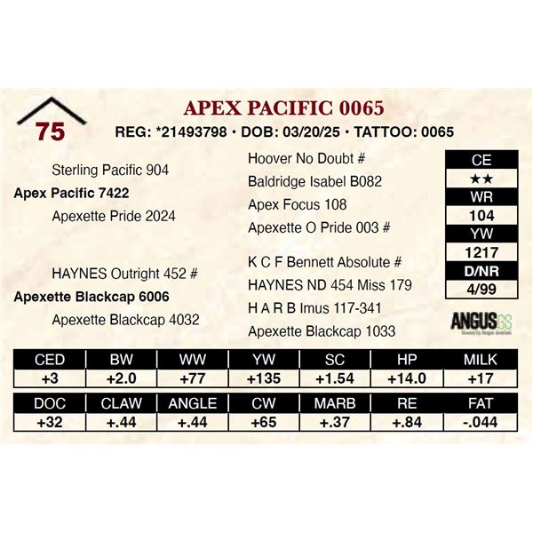 Apex Pacific 0065