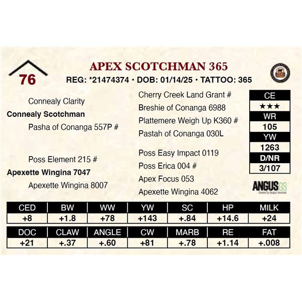 Apex Scotchman 365