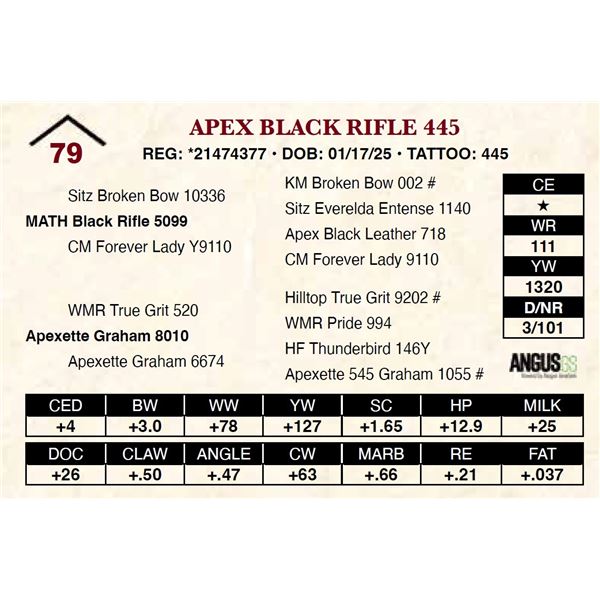 Apex Black Rifle 445