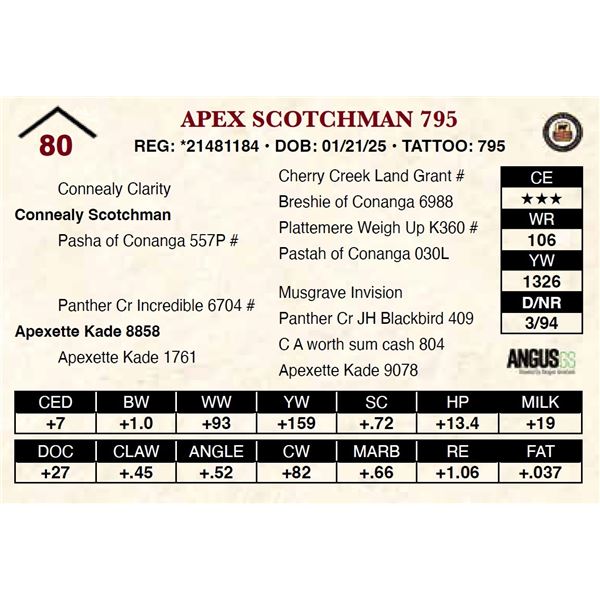 Apex Scotchman 795