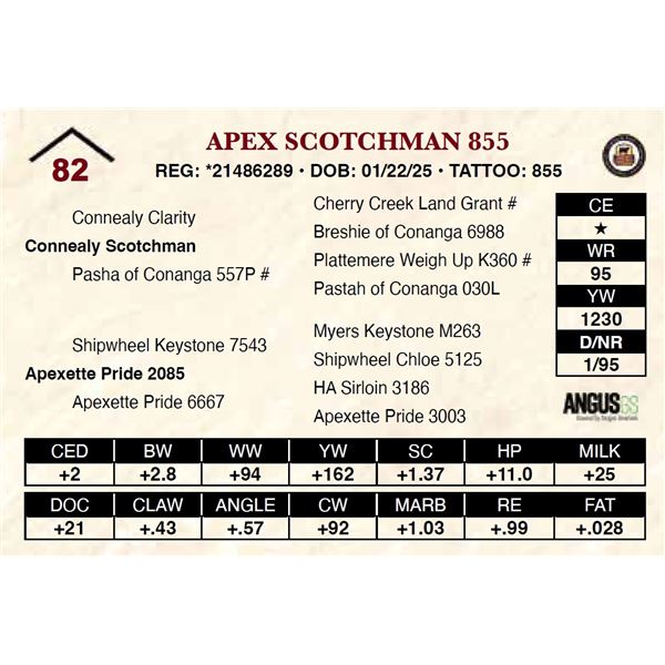 Apex Scotchman 855