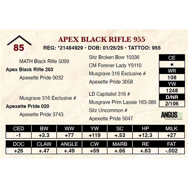Apex Black Rifle 955