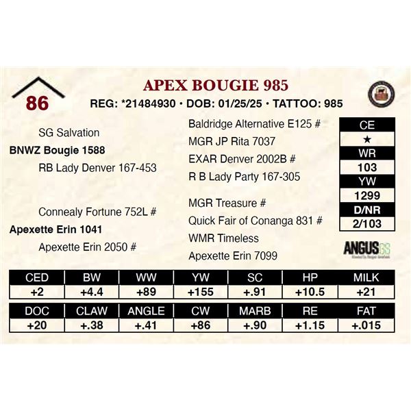 Apex Bougie 985