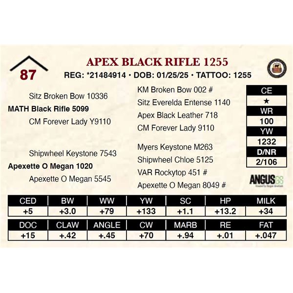Apex Black Rifle 1255