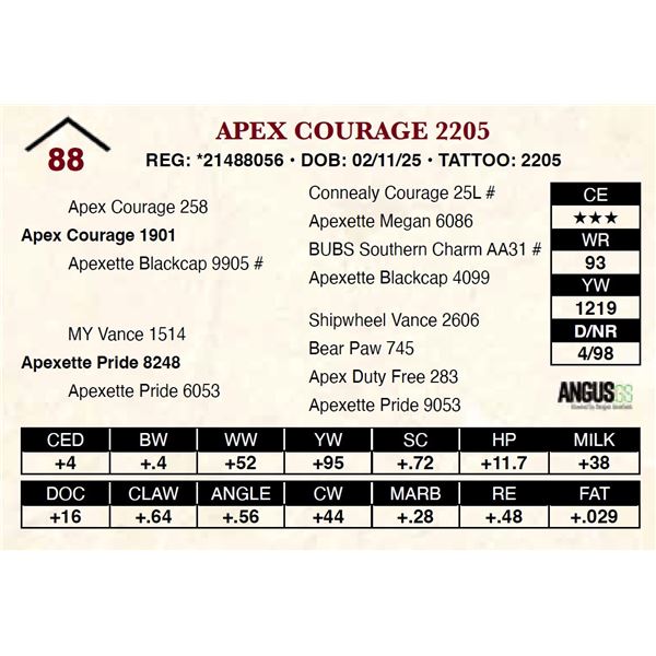 Apex Courage 2205