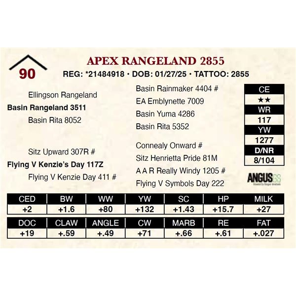 Apex Rangeland 2855
