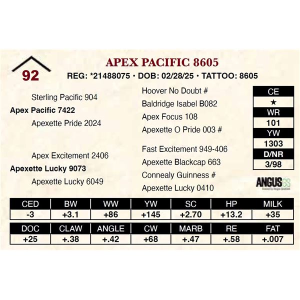 Apex Pacific 8605