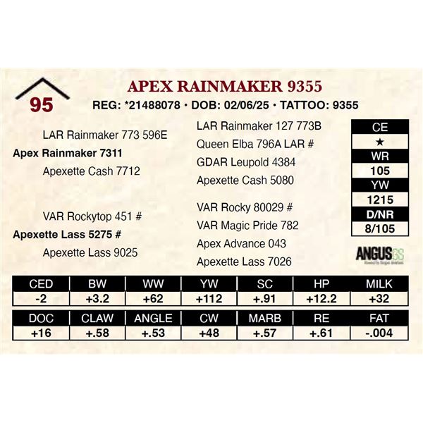 Apex Rainmaker 9355