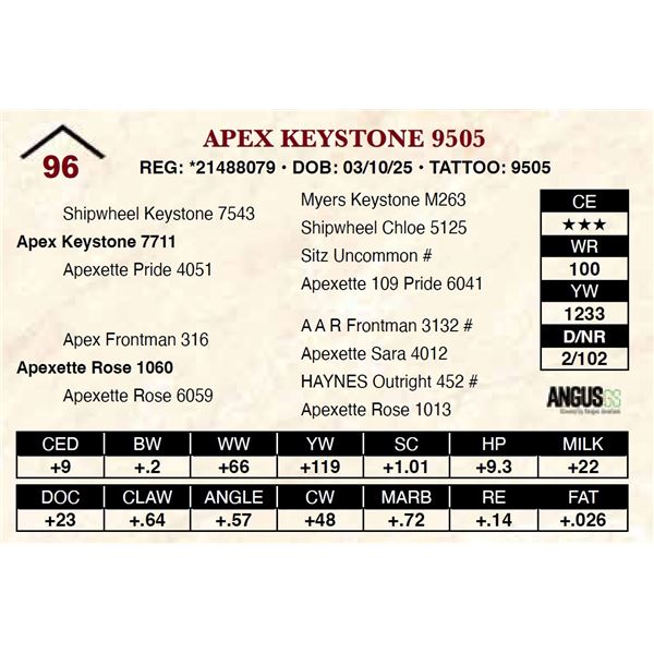 Apex Keystone 9505