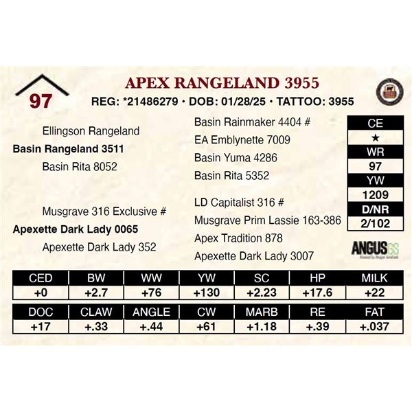 Apex Rangeland 3955