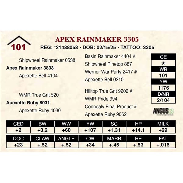 Apex Rainmaker 3305
