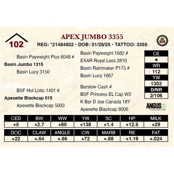 Apex Jumbo 3355