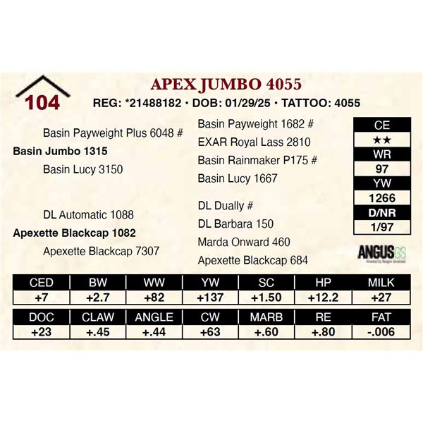 Apex Jumbo 4055