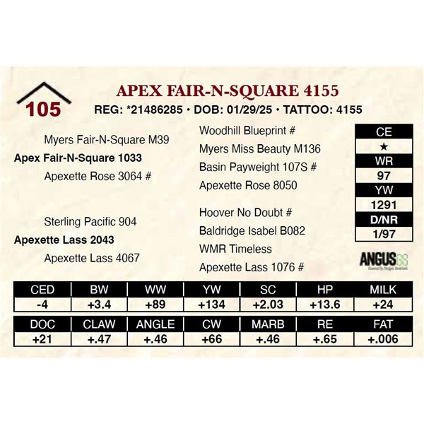 Apex Fair-N-Square 4155