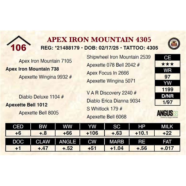 Apex Iron Mountain 4305