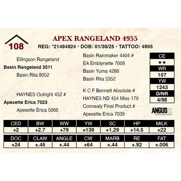 Apex Rangeland 4955