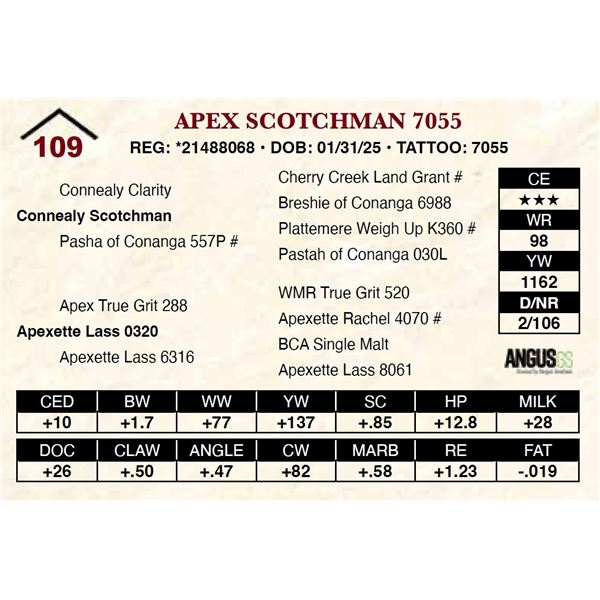 Apex Scotchman 7055