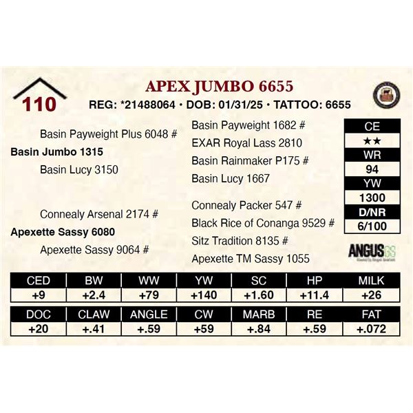 Apex Jumbo 6655