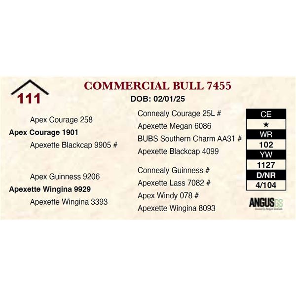 Commercial Bull 7455