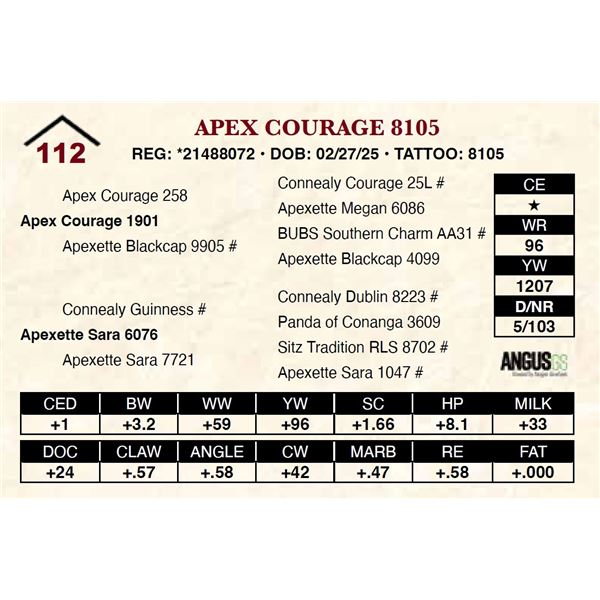 Apex Courage 8105